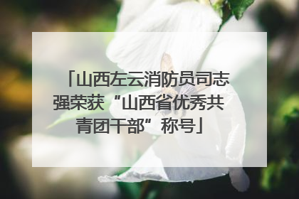 山西左云消防员司志强荣获“山西省优秀共青团干部”称号