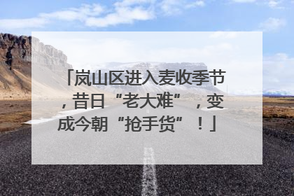 岚山区进入麦收季节，昔日“老大难”，变成今朝“抢手货”！