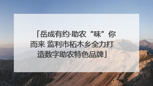 岳成有约·助农“味”你而来 监利市柘木乡全力打造数字助农特色品牌
