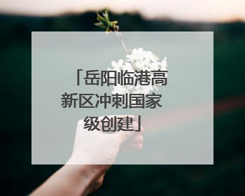 岳阳临港高新区冲刺国家级创建