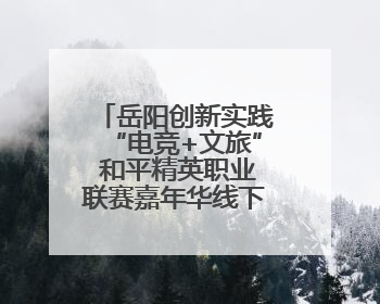 岳阳创新实践“电竞+文旅” 和平精英职业联赛嘉年华线下引流