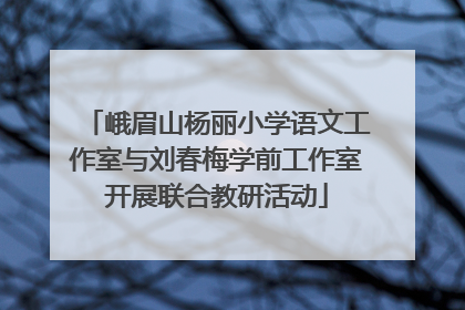 峨眉山杨丽小学语文工作室与刘春梅学前工作室开展联合教研活动