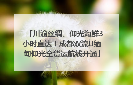 川渝丝绸、仰光海鲜3小时直达！成都双流⇌缅甸仰光全货运航线开通