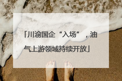 川渝国企“入场”，油气上游领域持续开放