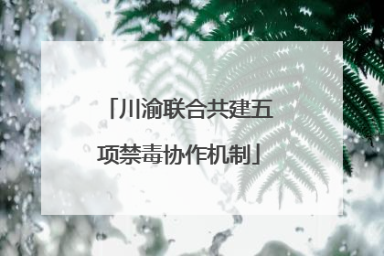 川渝联合共建五项禁毒协作机制