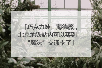 巧克力蛙、海德薇，北京地铁站内可以买到“魔法”交通卡了