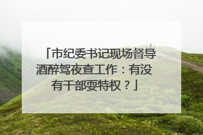 市纪委书记现场督导酒醉驾夜查工作：有没有干部耍特权？