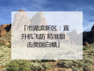 市湖滨新区：直升机飞防 精准狙击美国白蛾