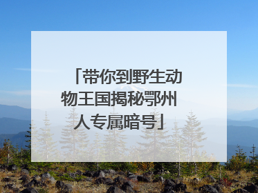 带你到野生动物王国揭秘鄂州人专属暗号