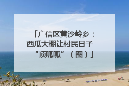 广信区黄沙岭乡：西瓜大棚让村民日子“顶呱呱”（图）
