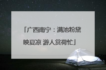 广西南宁：满池粉黛映夏凉 游人赏荷忙