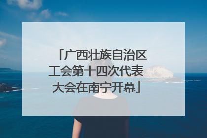 广西壮族自治区工会第十四次代表大会在南宁开幕