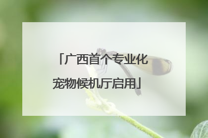广西首个专业化宠物候机厅启用