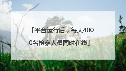 平台运行后，每天4000名检察人员同时在线