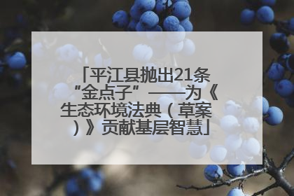 平江县抛出21条“金点子”——为《生态环境法典（草案）》贡献基层智慧