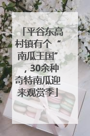 平谷东高村镇有个“南瓜王国”，30余种奇特南瓜迎来观赏季