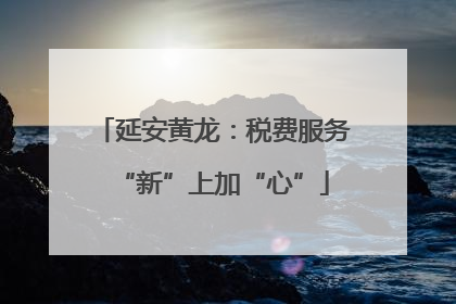延安黄龙：税费服务“新”上加“心”