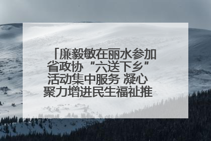 廉毅敏在丽水参加省政协“六送下乡”活动集中服务 凝心聚力增进民生福祉推进共同富裕