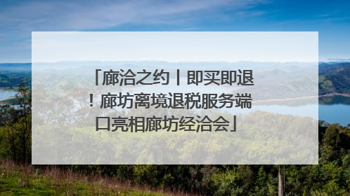 廊洽之约丨即买即退！廊坊离境退税服务端口亮相廊坊经洽会