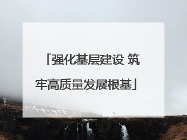 强化基层建设 筑牢高质量发展根基