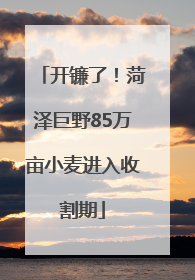 开镰了！菏泽巨野85万亩小麦进入收割期