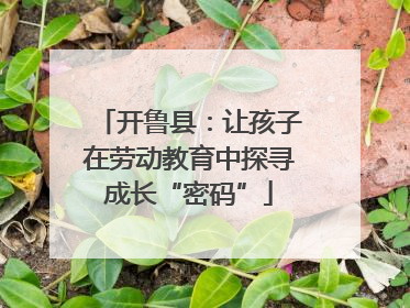 开鲁县：让孩子在劳动教育中探寻成长“密码”