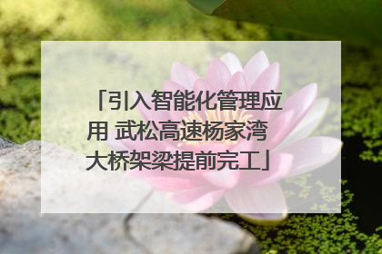 引入智能化管理应用 武松高速杨家湾大桥架梁提前完工