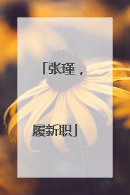张瑾，履新职