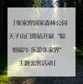 张家界国家森林公园天子山门票站开展“粽情端午·乐游张家界”主题宠客活动