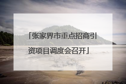 张家界市重点招商引资项目调度会召开