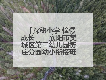 探秘小学 憧憬成长——襄阳市樊城区第二幼儿园衡庄分园幼小衔接班走进小学开展参观体验活动