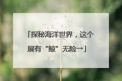 探秘海洋世界，这个展有“鲸”无险→