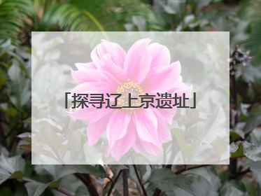 探寻辽上京遗址