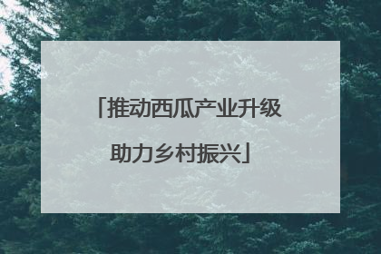 推动西瓜产业升级 助力乡村振兴