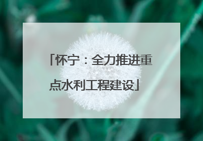 怀宁：全力推进重点水利工程建设