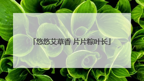 悠悠艾草香 片片粽叶长