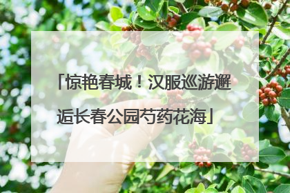 惊艳春城！汉服巡游邂逅长春公园芍药花海