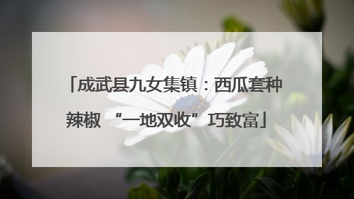 成武县九女集镇：西瓜套种辣椒 “一地双收”巧致富