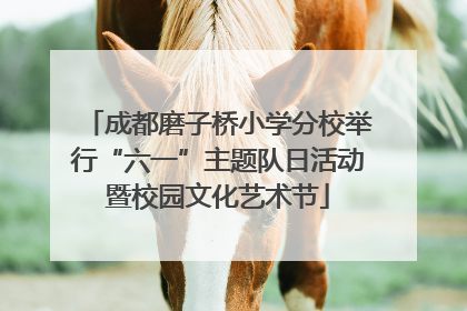 成都磨子桥小学分校举行“六一”主题队日活动暨校园文化艺术节