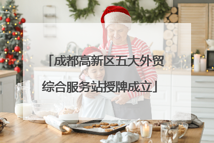成都高新区五大外贸综合服务站授牌成立
