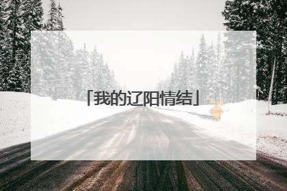 我的辽阳情结