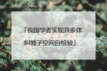 我国学者实现真多体纠缠子空间自检验