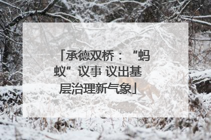 承德双桥：“蚂蚁”议事 议出基层治理新气象