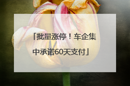 批量涨停！车企集中承诺60天支付