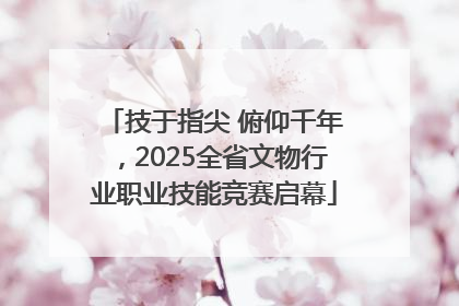 技于指尖 俯仰千年，2025全省文物行业职业技能竞赛启幕
