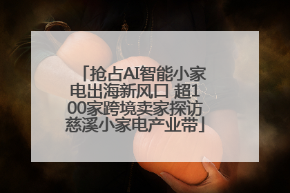 抢占AI智能小家电出海新风口 超100家跨境卖家探访慈溪小家电产业带