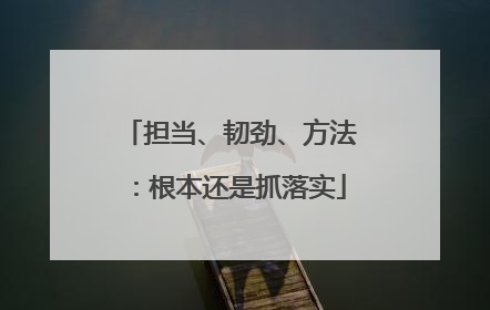 担当、韧劲、方法：根本还是抓落实