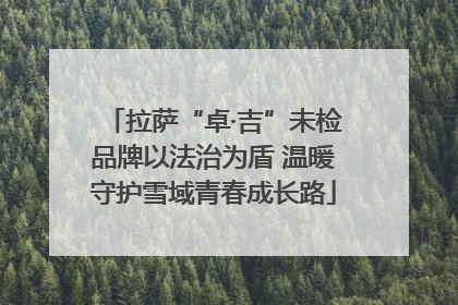 拉萨“卓·吉”未检品牌以法治为盾 温暖守护雪域青春成长路