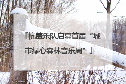 杭盖乐队启幕首届“城市绿心森林音乐周”