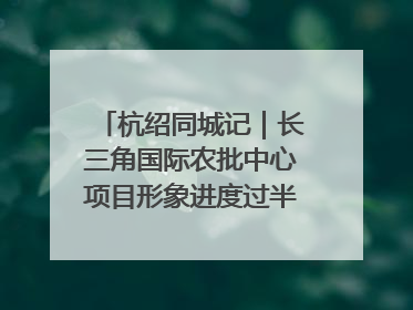 杭绍同城记｜长三角国际农批中心项目形象进度过半，华东“菜篮子”建设加码提速！